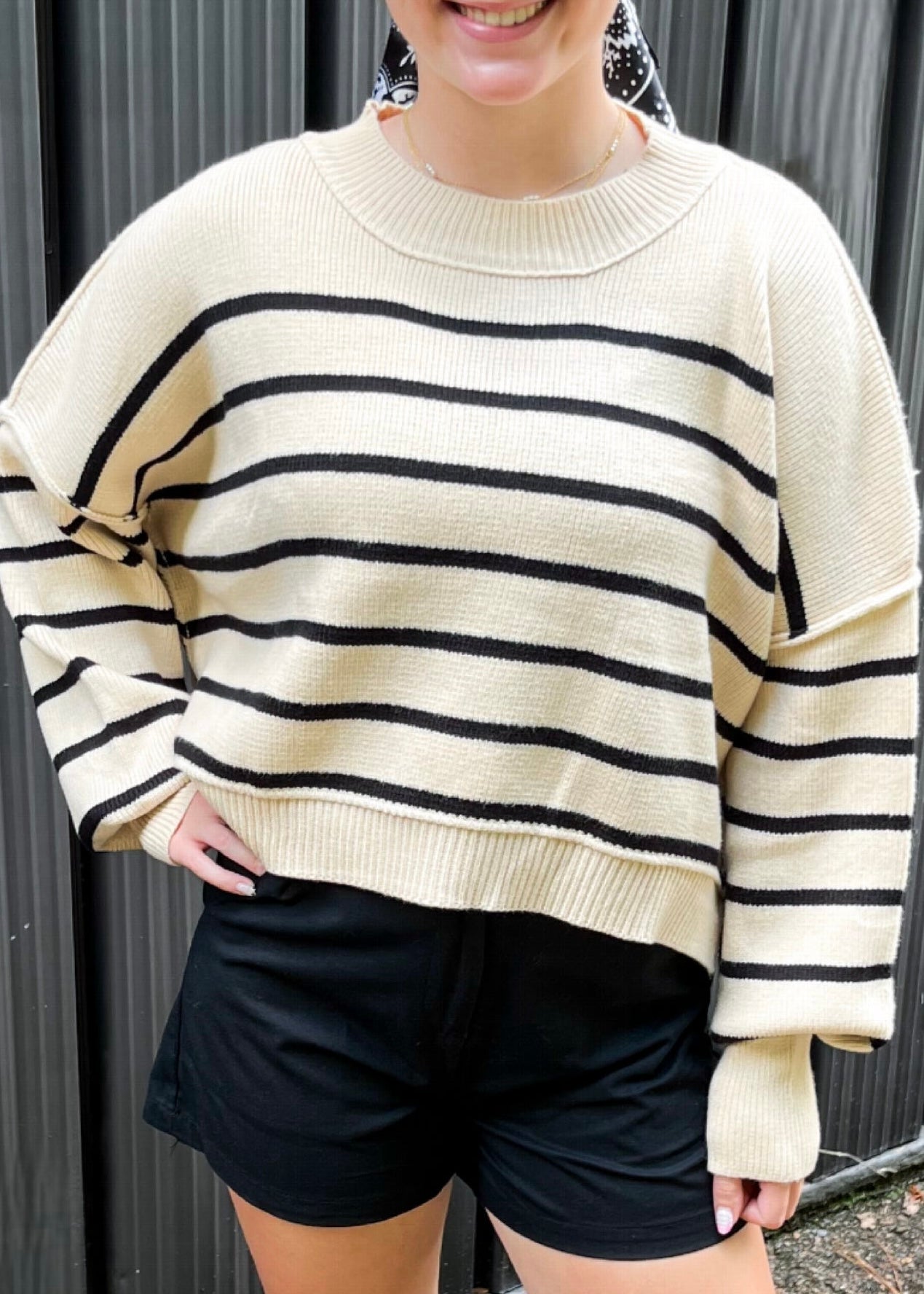 Autumn Breeze Black Stripe Crop Sweater